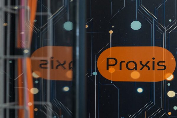 _DSF1445_ - dimensioni grandi